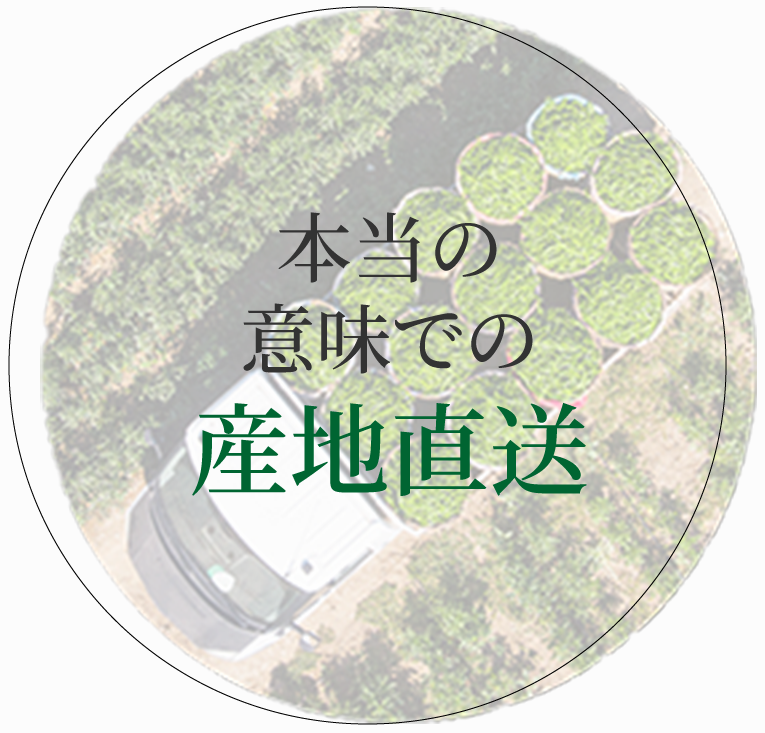 本当の意味での産地直送