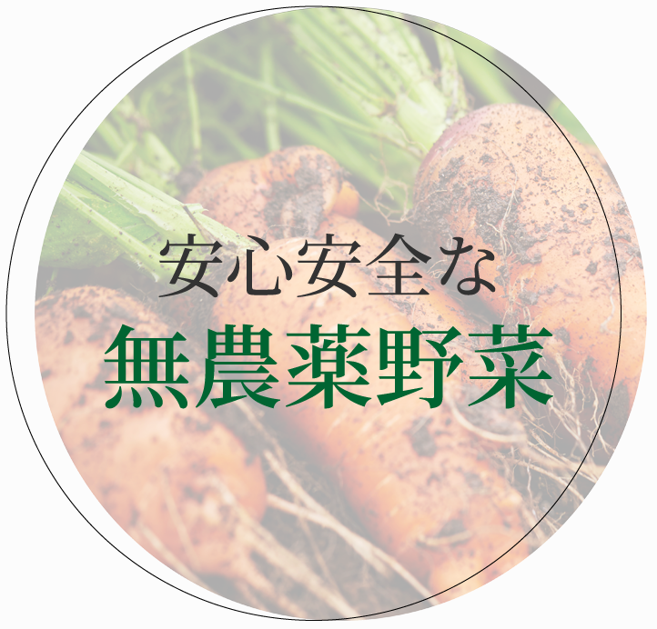 安心安全な無農薬野菜