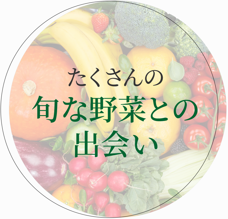 たくさんの旬な野菜との出会い