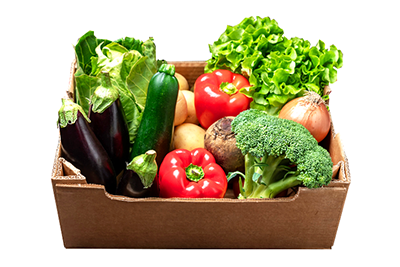 【ベジックス】旬＊お試し野菜セット(6品目)